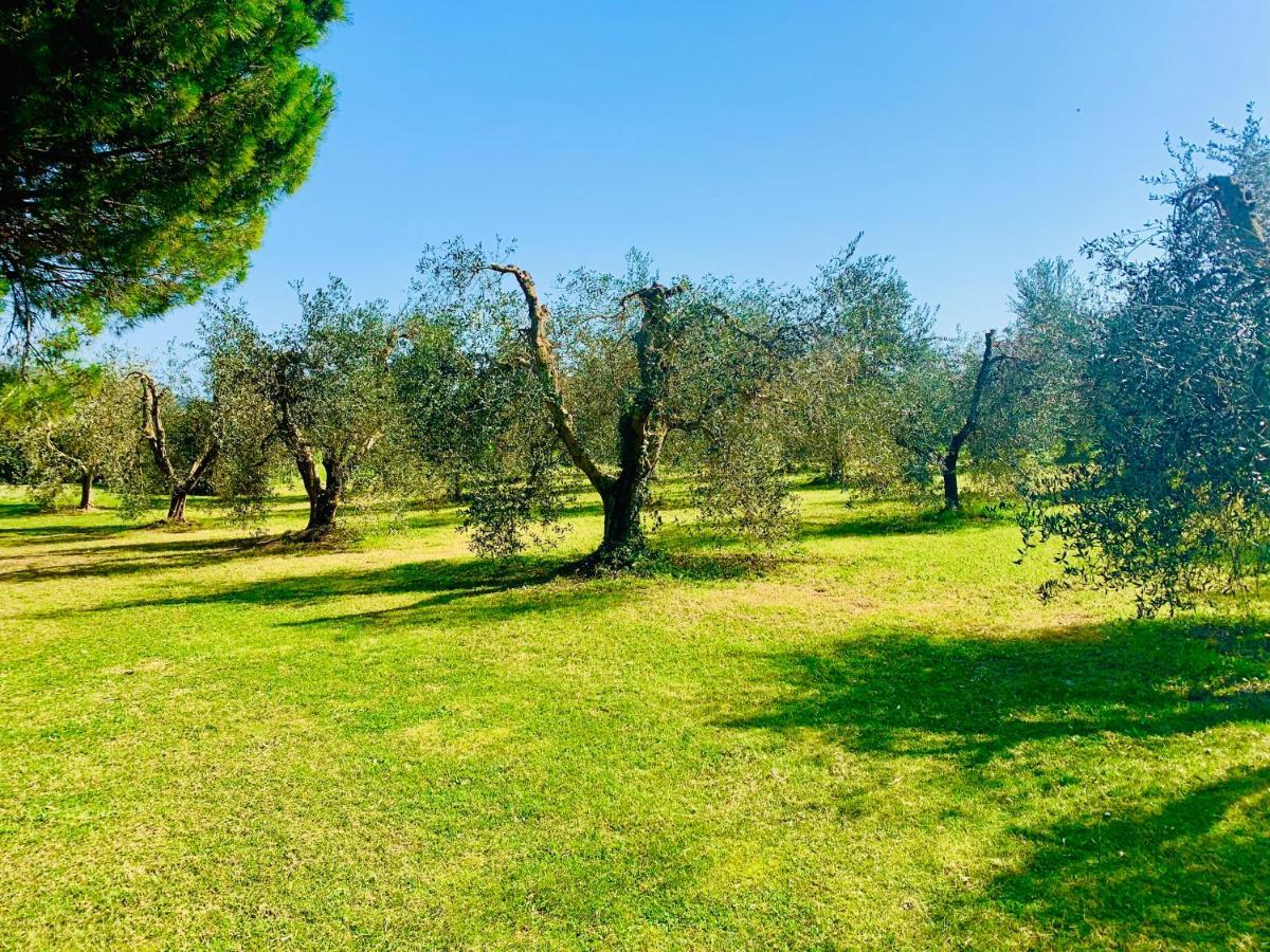 Il Borghetto Di Ansedonia Apartment Exterior photo