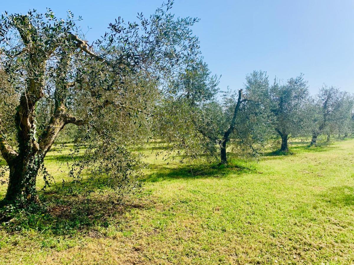 Il Borghetto Di Ansedonia Apartment Exterior photo