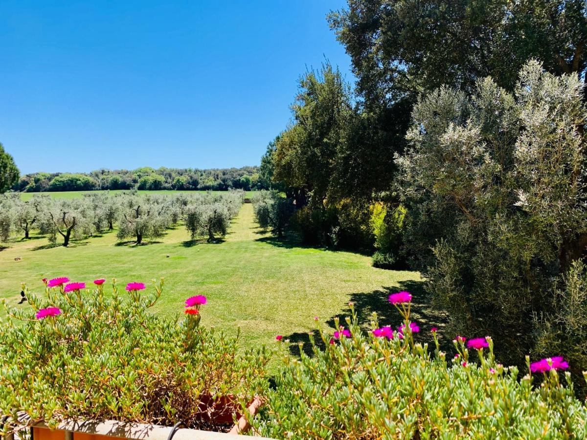 Il Borghetto Di Ansedonia Apartment Exterior photo